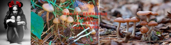 дживик Алексеевка