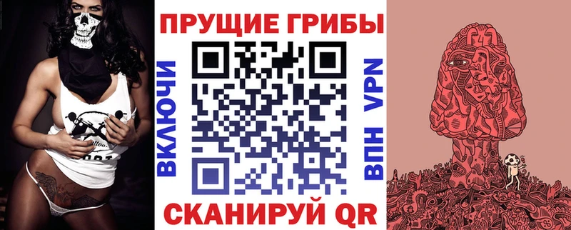 Псилоцибиновые грибы Psilocybe  что такое   Иноземцево 
